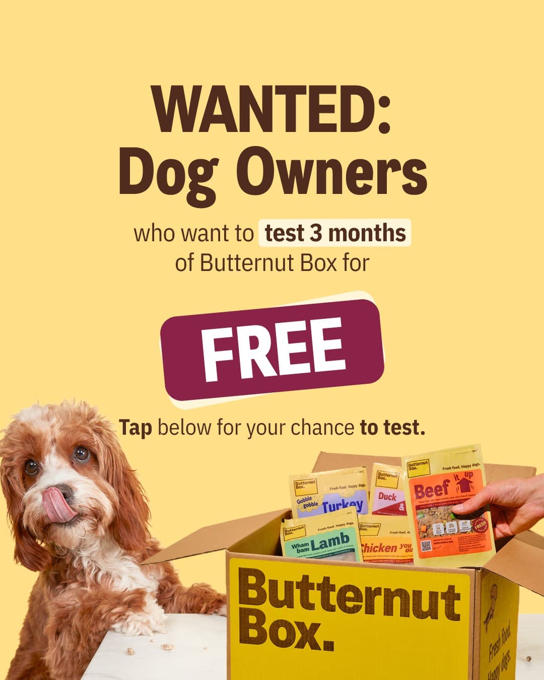 Butternut Box · Offer-First Banner ad