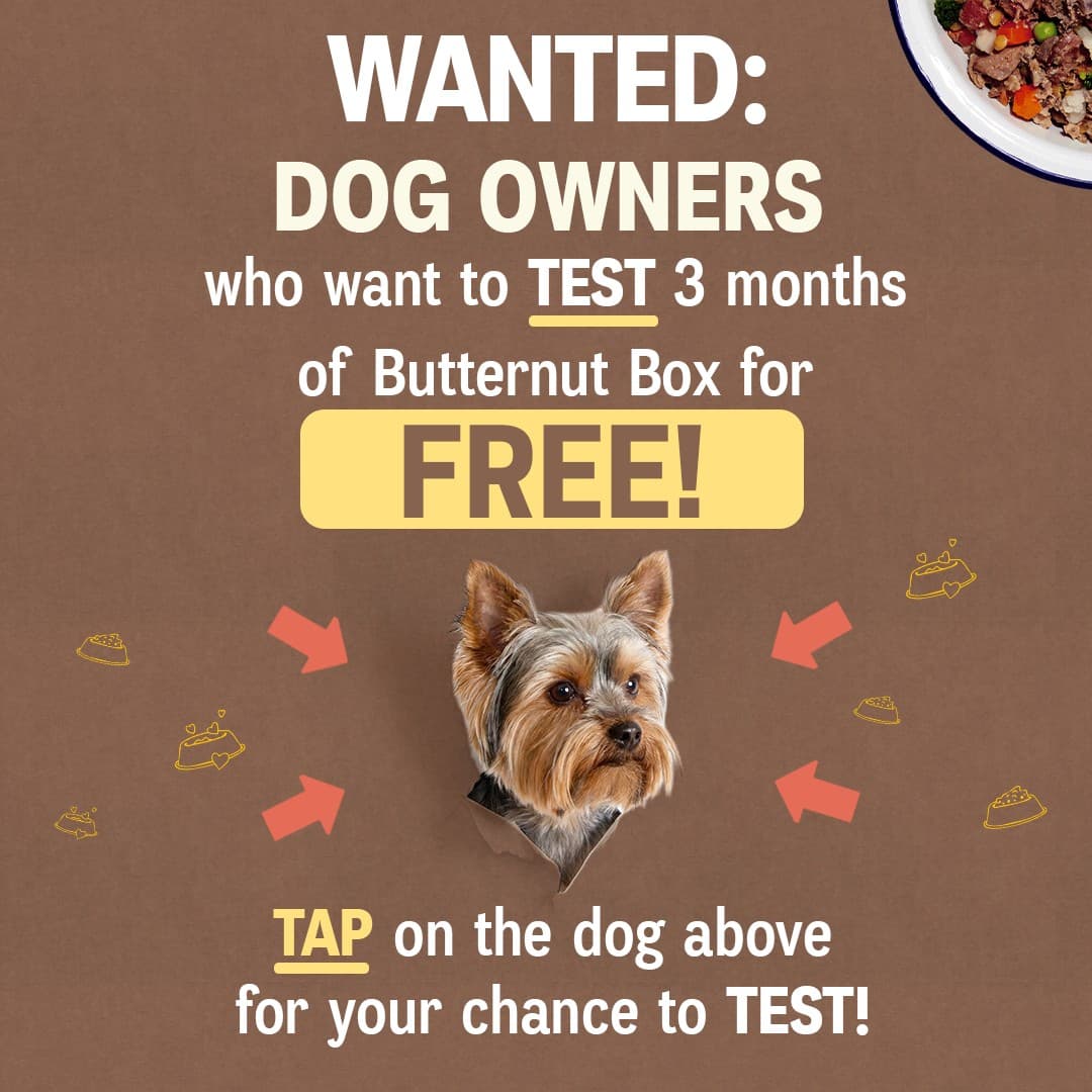 Butternut Box · Offer-First Banner ad