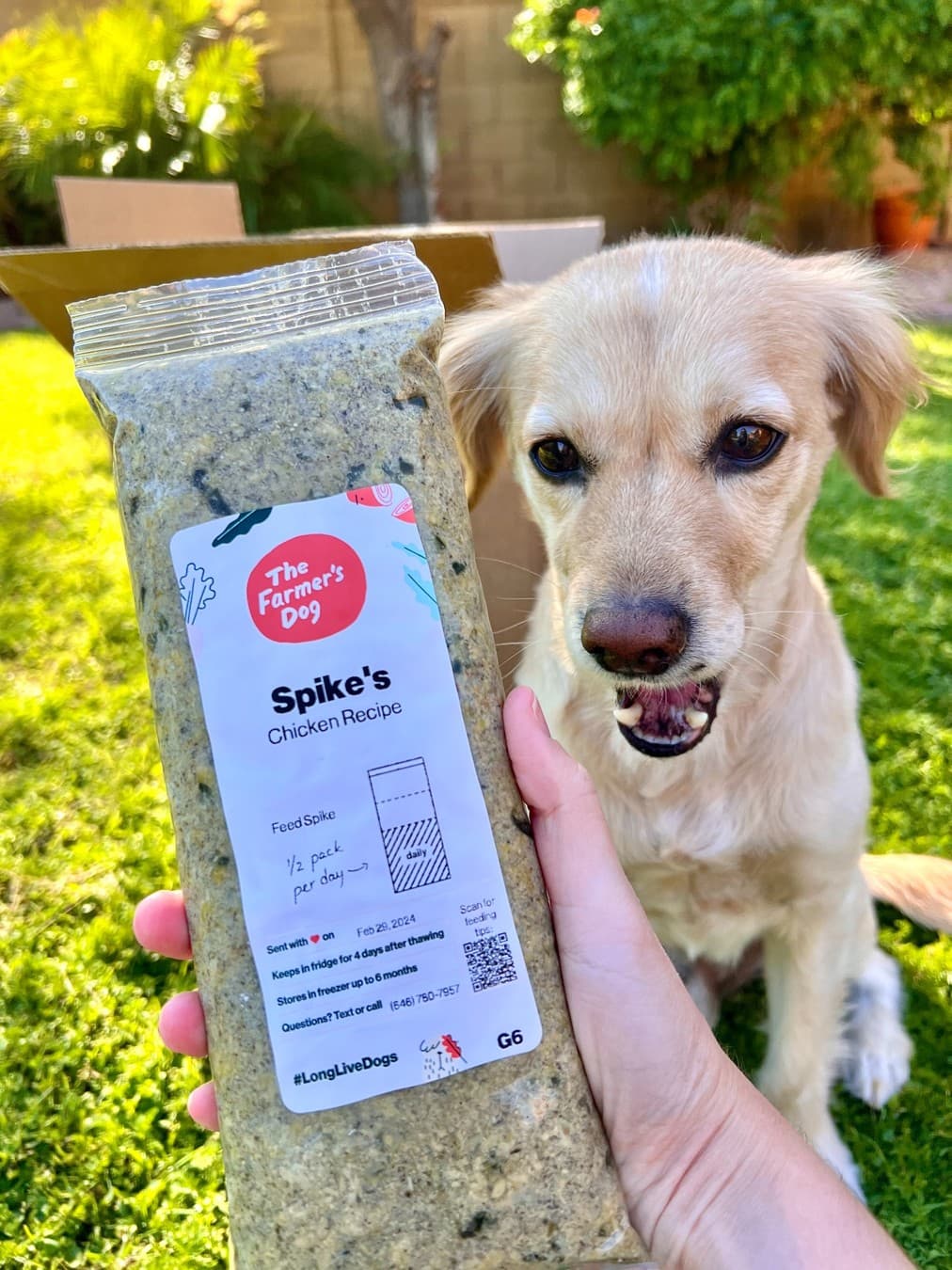 The Farmer's Dog · Lifestyle Image ad