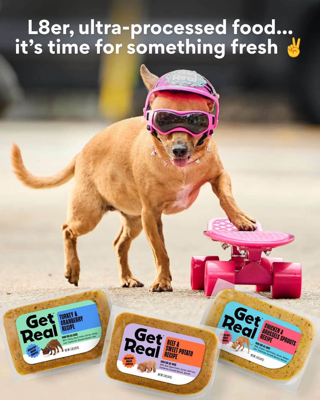 Chewy · Product Image ad