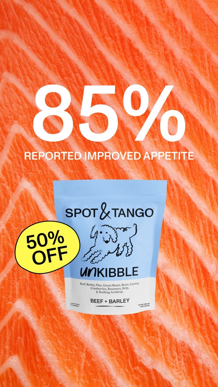 Spot and Tango · Offer-First Banner ad