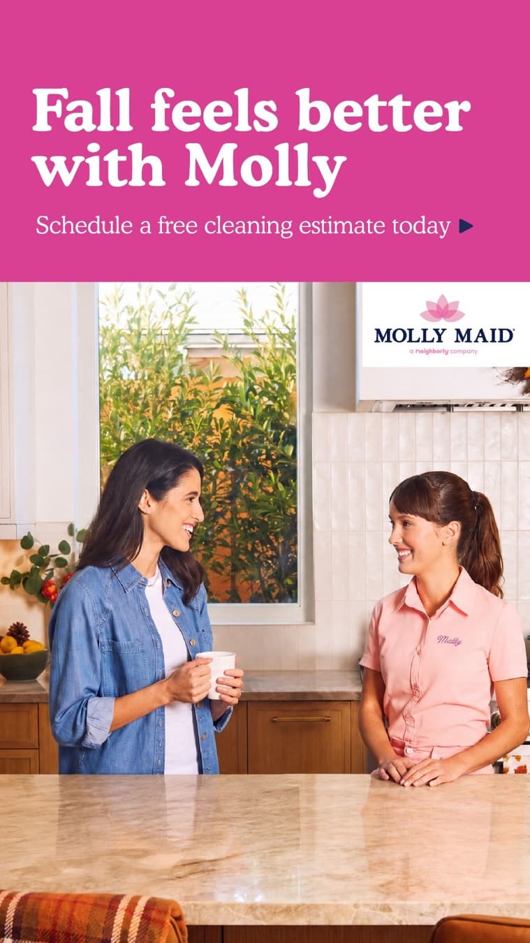 Molly Maid · Lifestyle Image ad