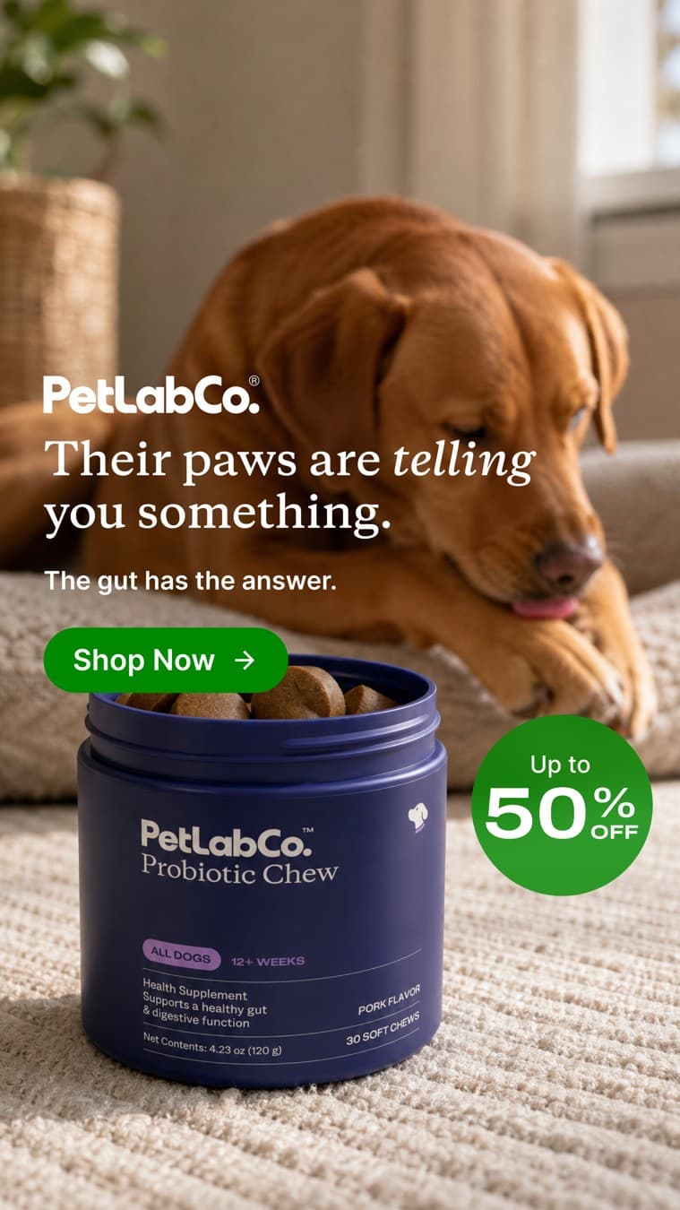 PetLab Co. · Lifestyle Image ad