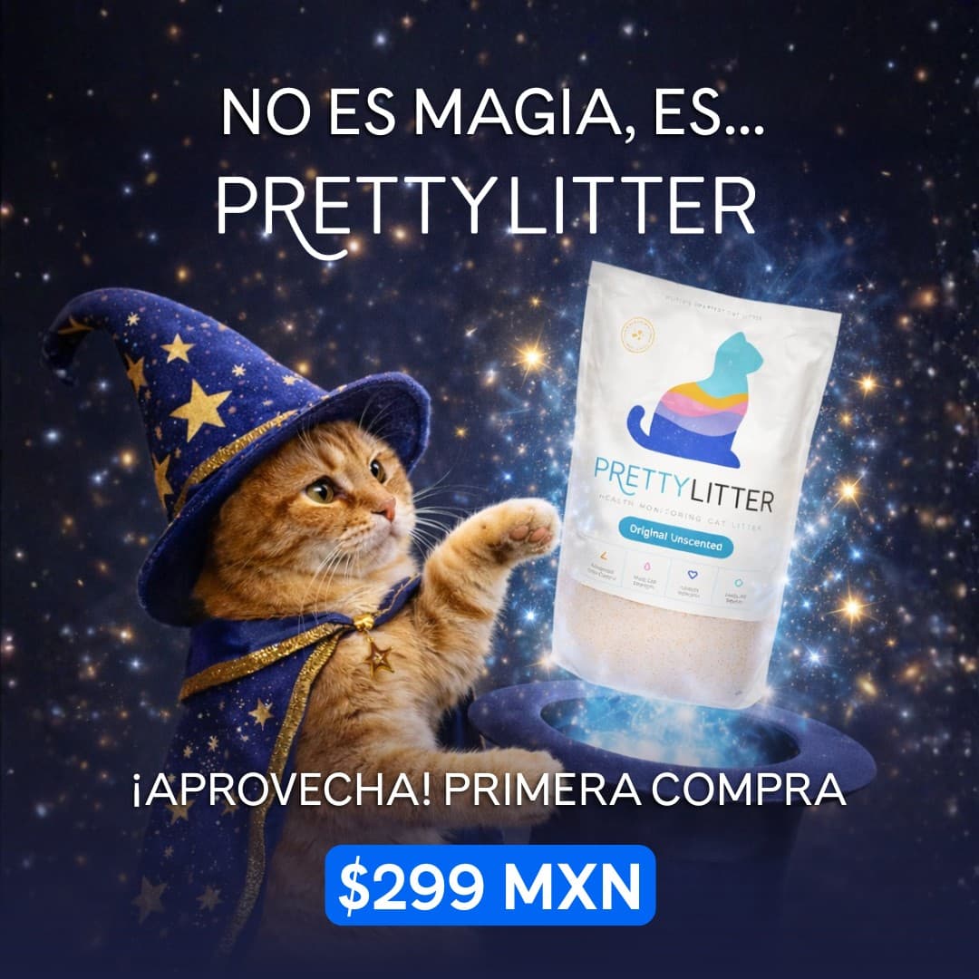 PrettyLitter · Offer-First Banner ad