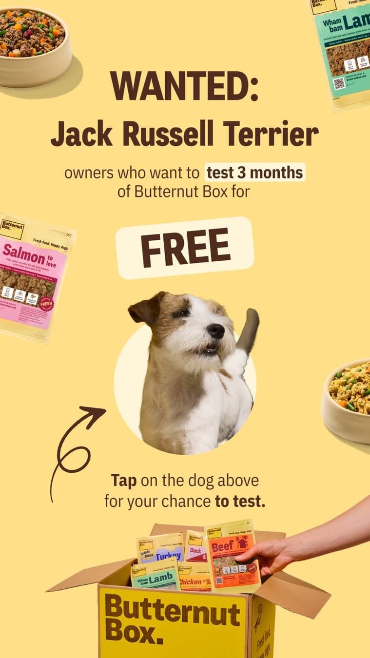 Butternut Box · Offer-First Banner ad