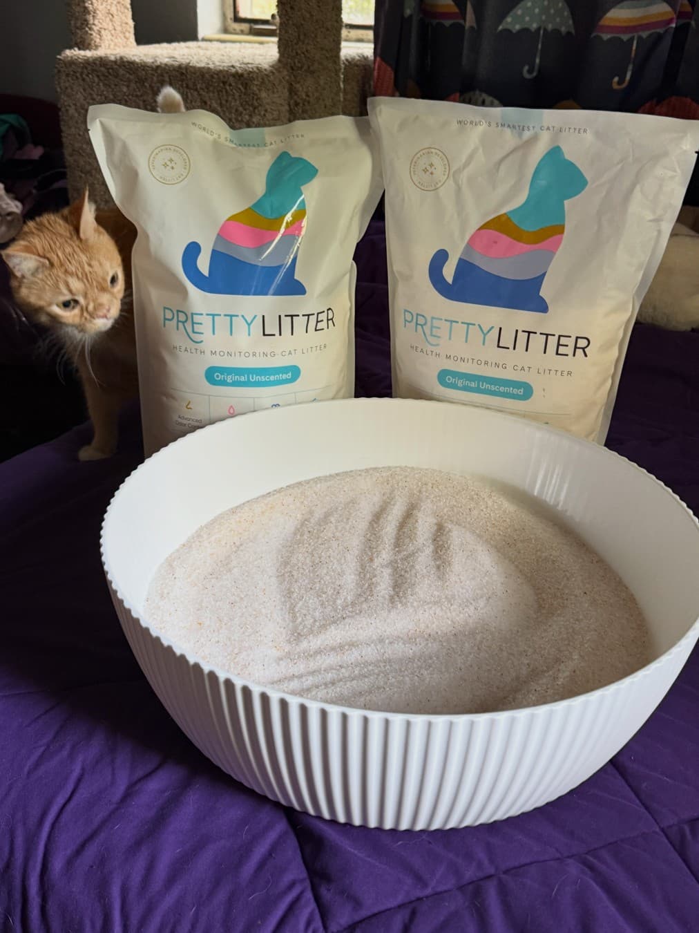 PrettyLitter · Lifestyle Image ad