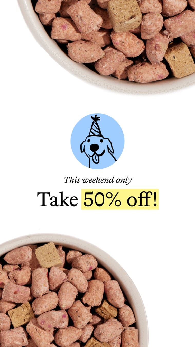 Spot and Tango · Offer-First Banner ad
