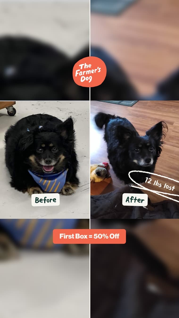 The Farmer's Dog · Before and After ad