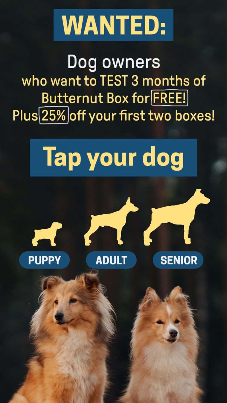 Butternut Box · Offer-First Banner ad
