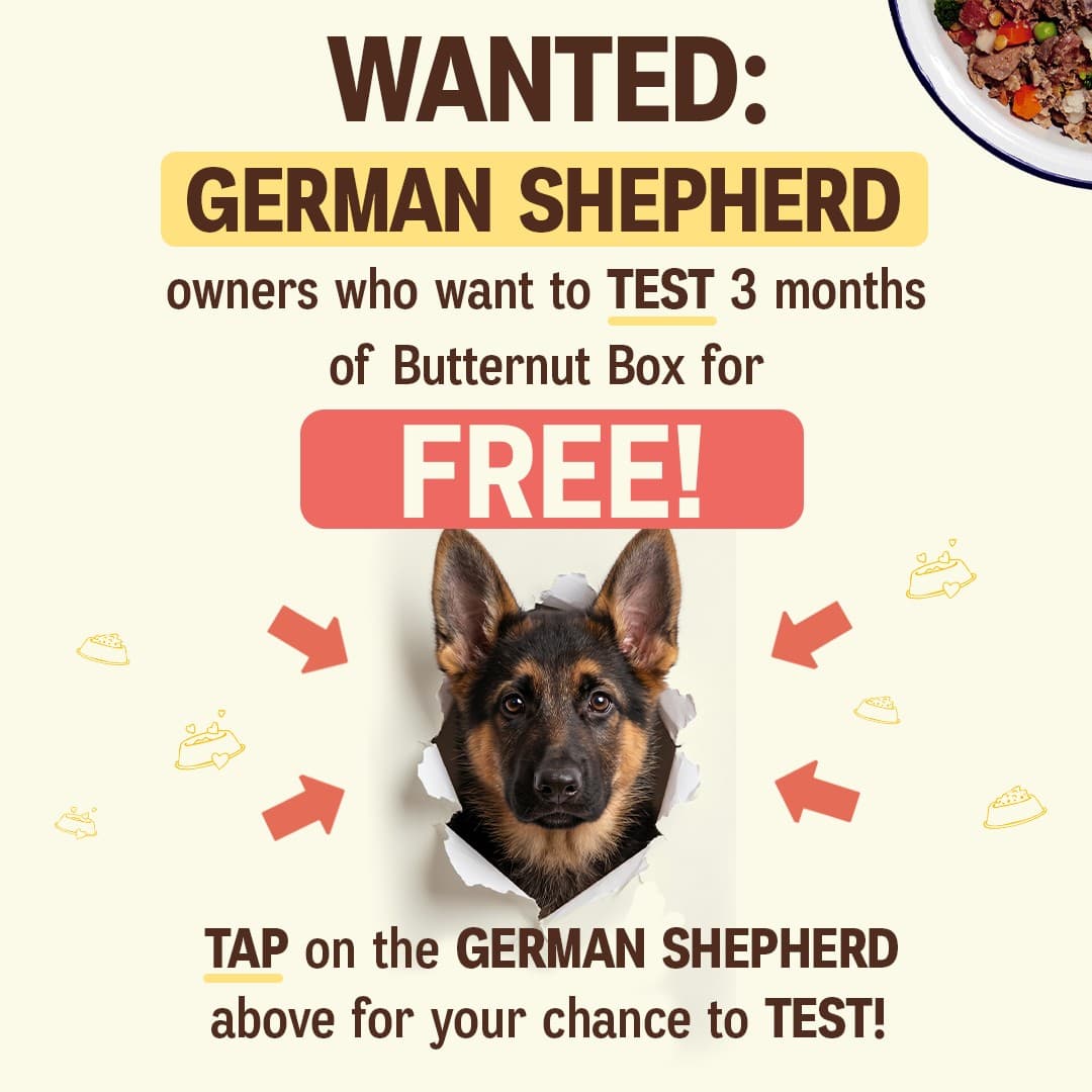 Butternut Box · Offer-First Banner ad
