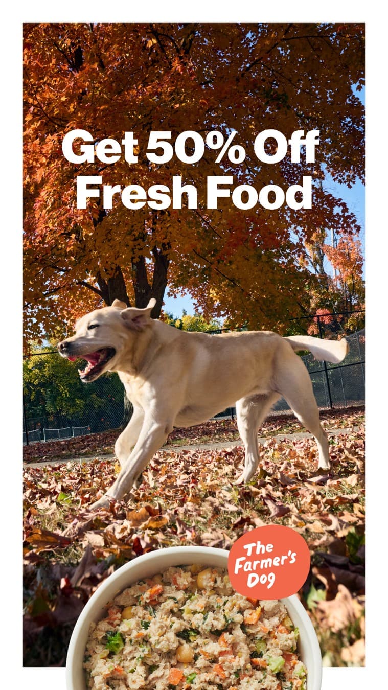 The Farmer's Dog · Offer-First Banner ad