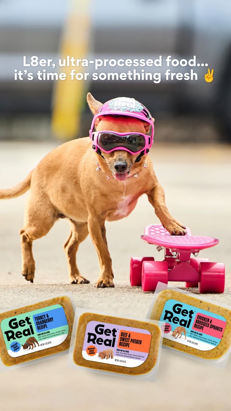Chewy · Product Image ad