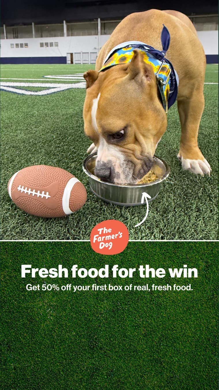 The Farmer's Dog · Offer-First Banner ad