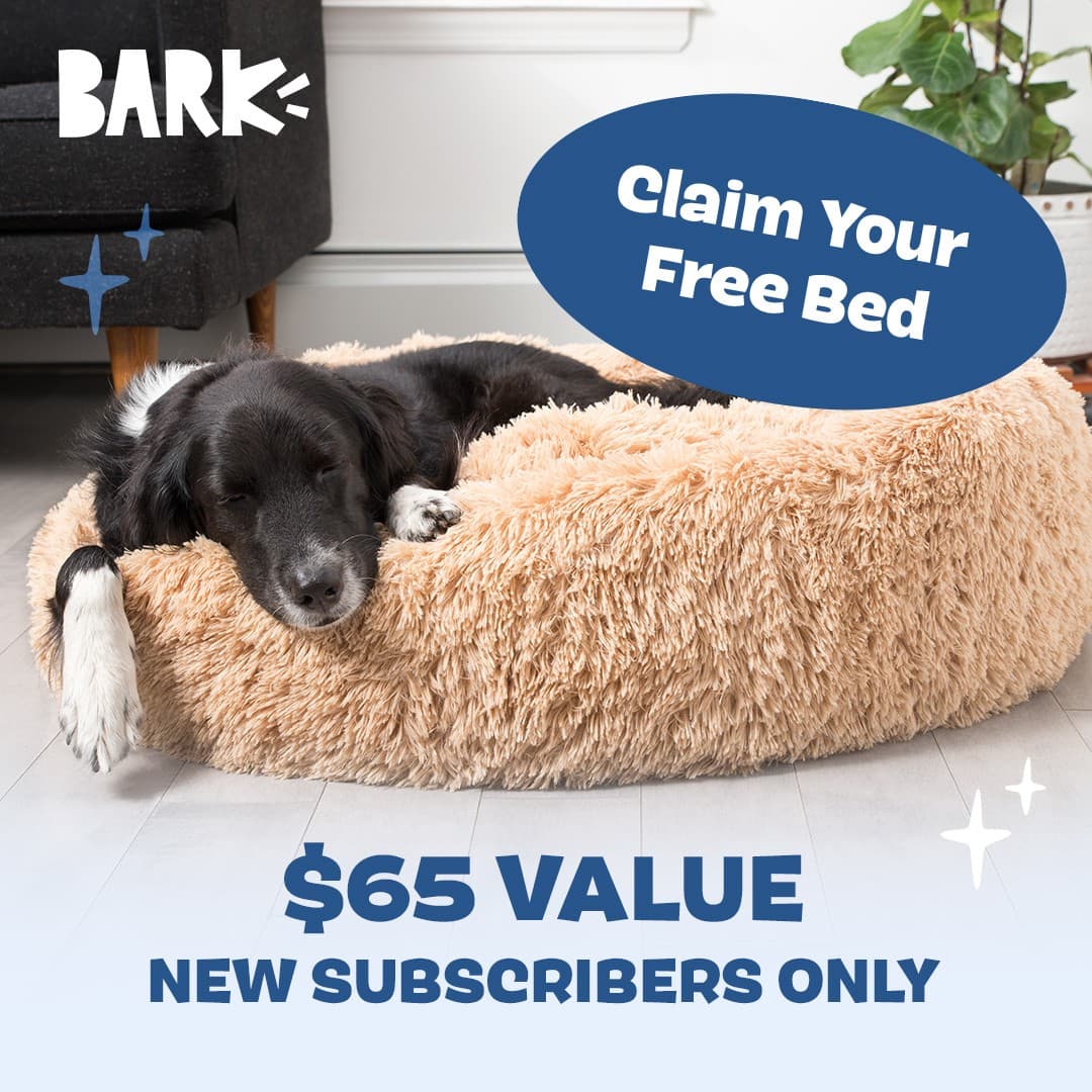 BarkBox · Offer-First Banner ad