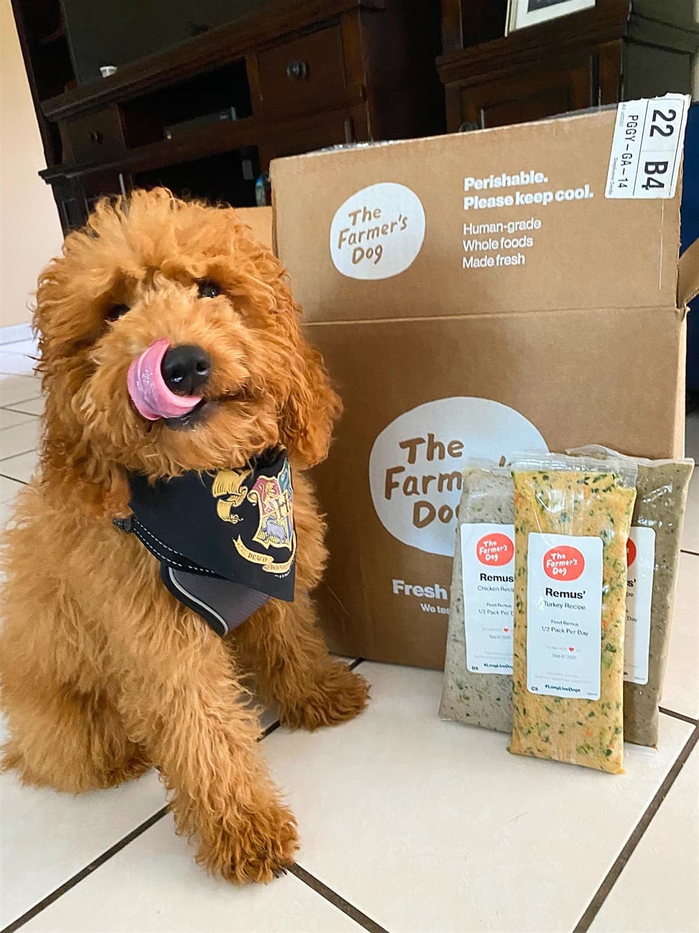 The Farmer's Dog · Lifestyle Image ad