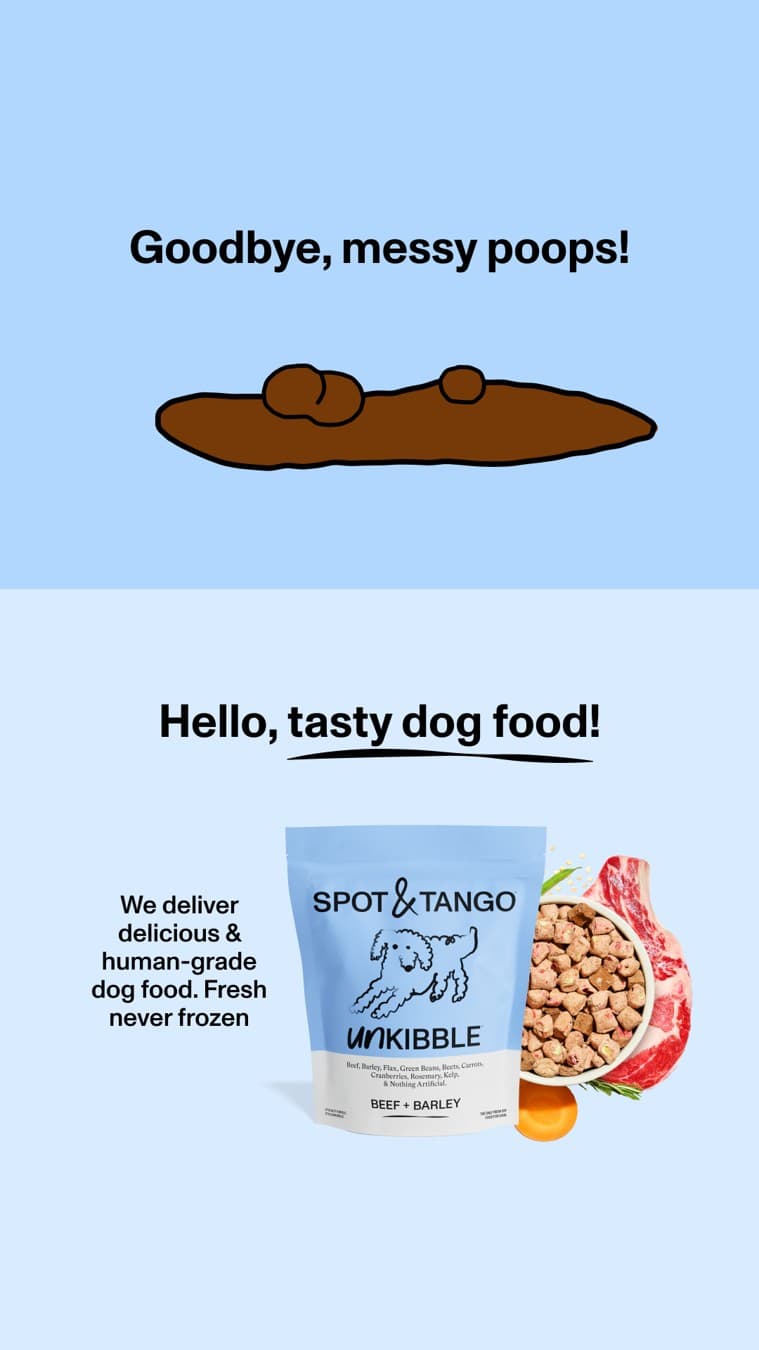 Spot and Tango · Before and After ad