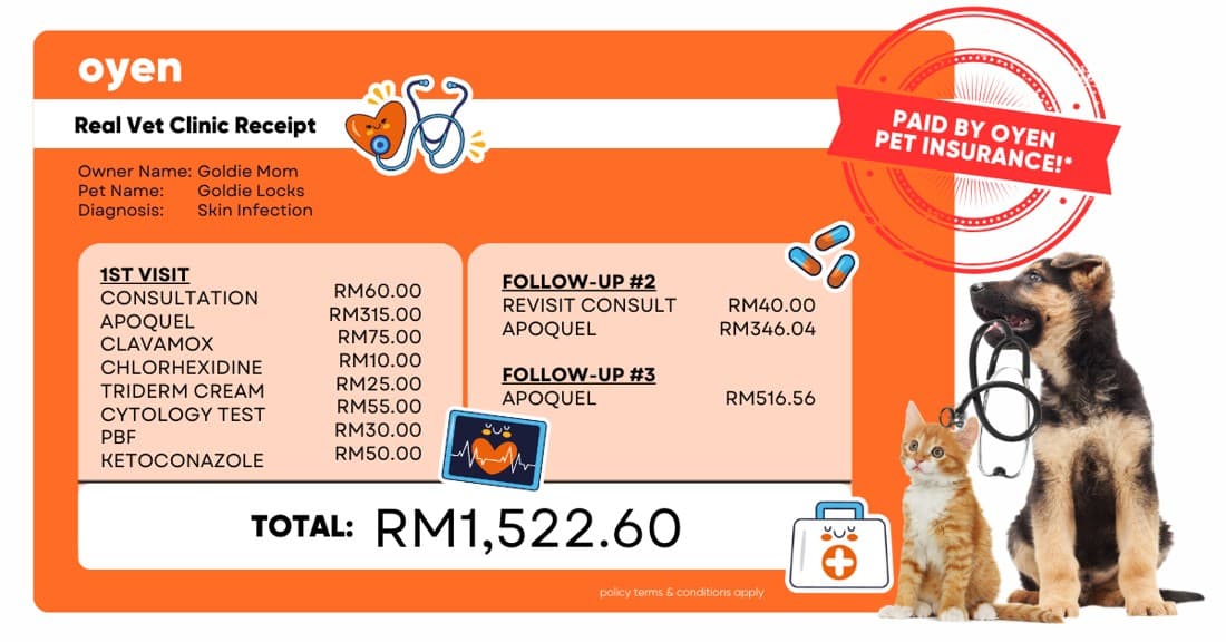 Oyen Pet Insurance & Takaful Kucing · Document Mockup ad