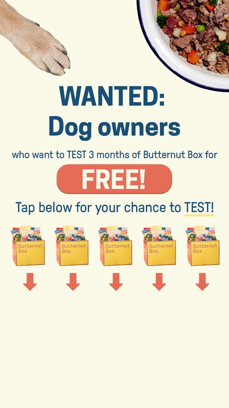 Butternut Box · Offer-First Banner ad
