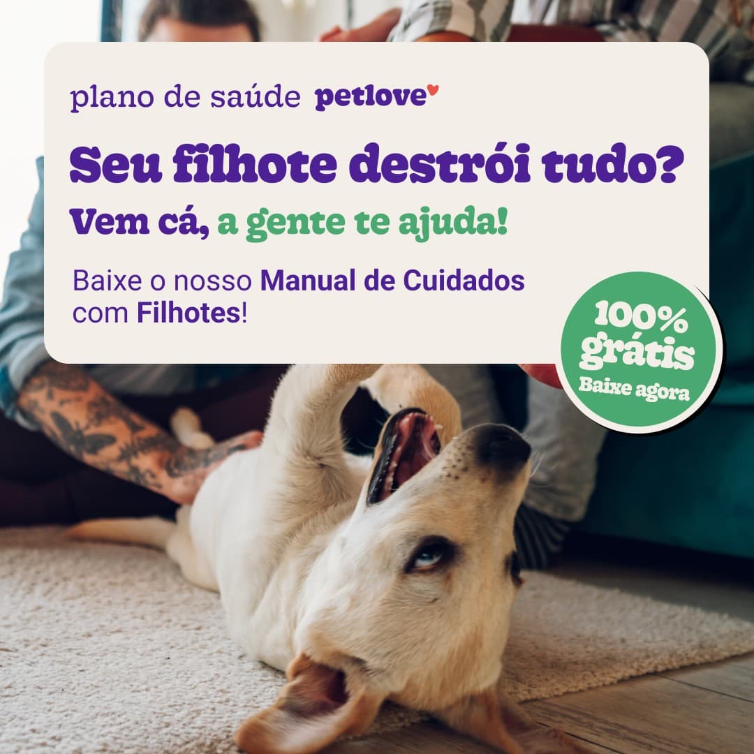 Petlove · Lifestyle Image ad