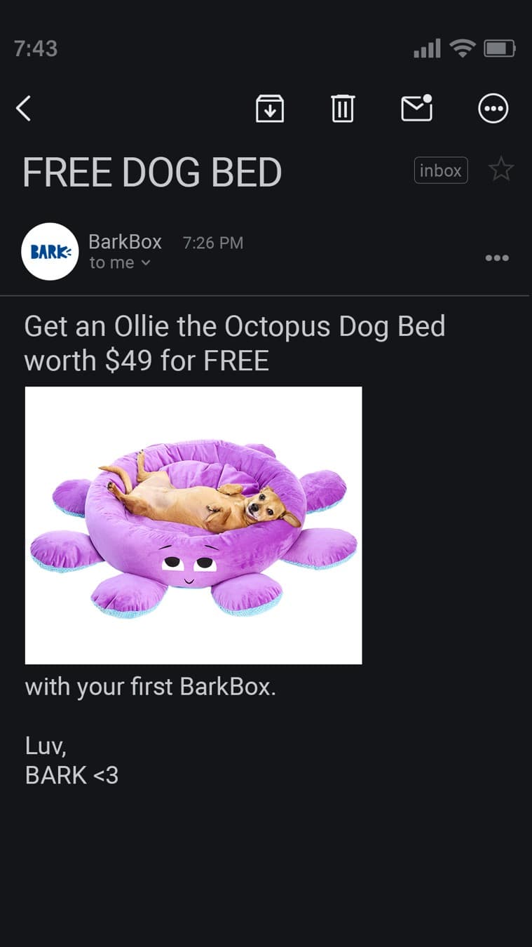 BarkBox · Email Mockup ad