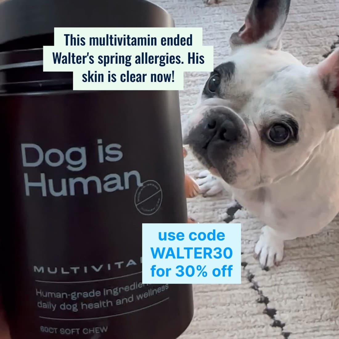 Dog is Human · UGC Overlay ad