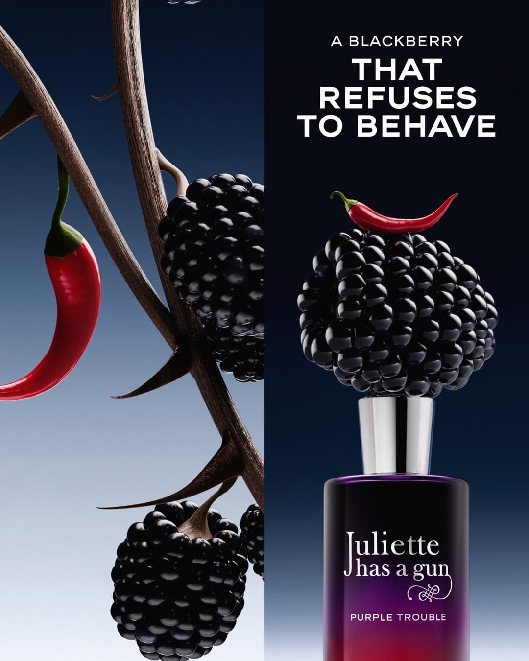 Juliette has a Gun (Official page) · Editorial ad