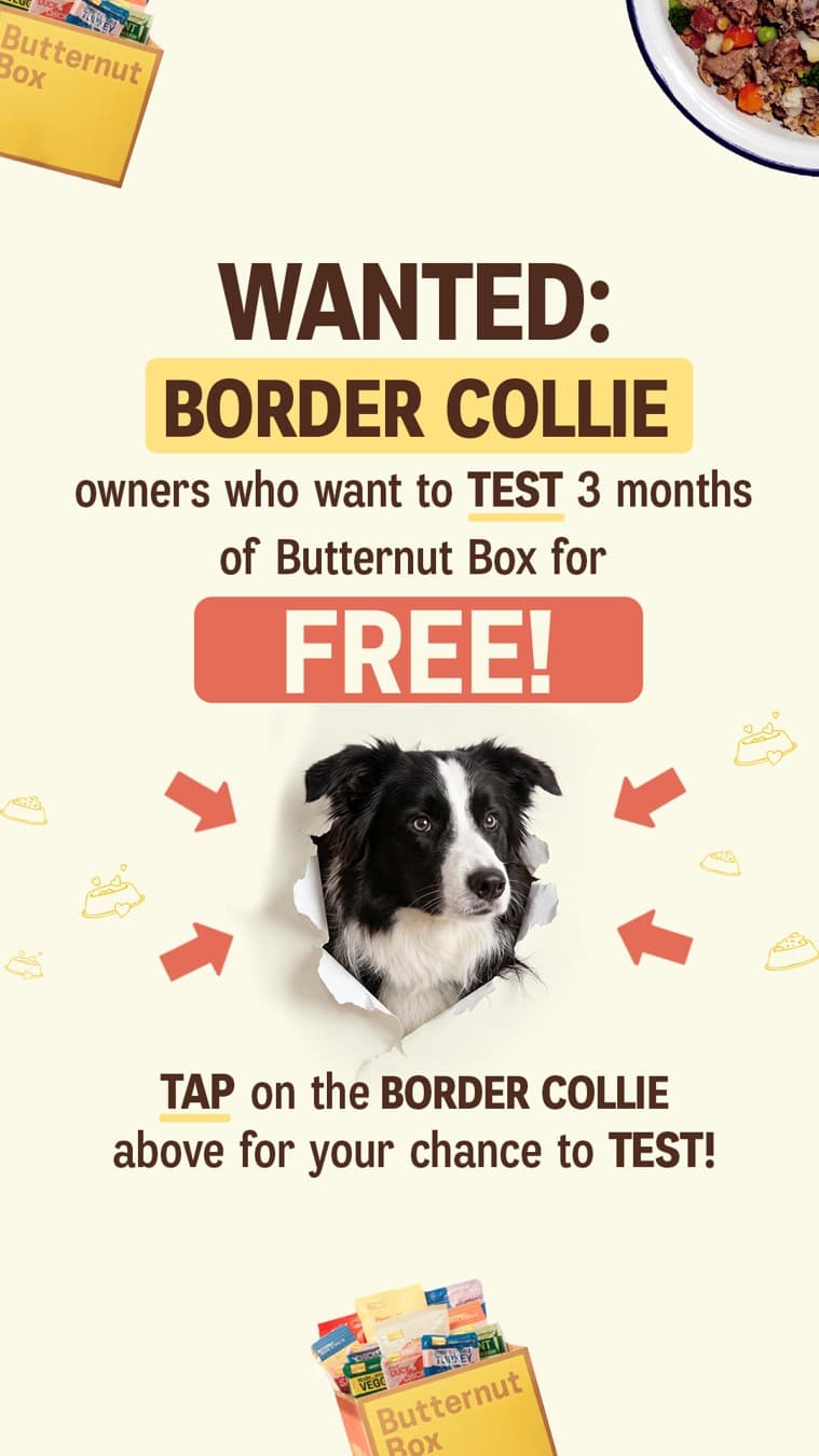 Butternut Box · Offer-First Banner ad