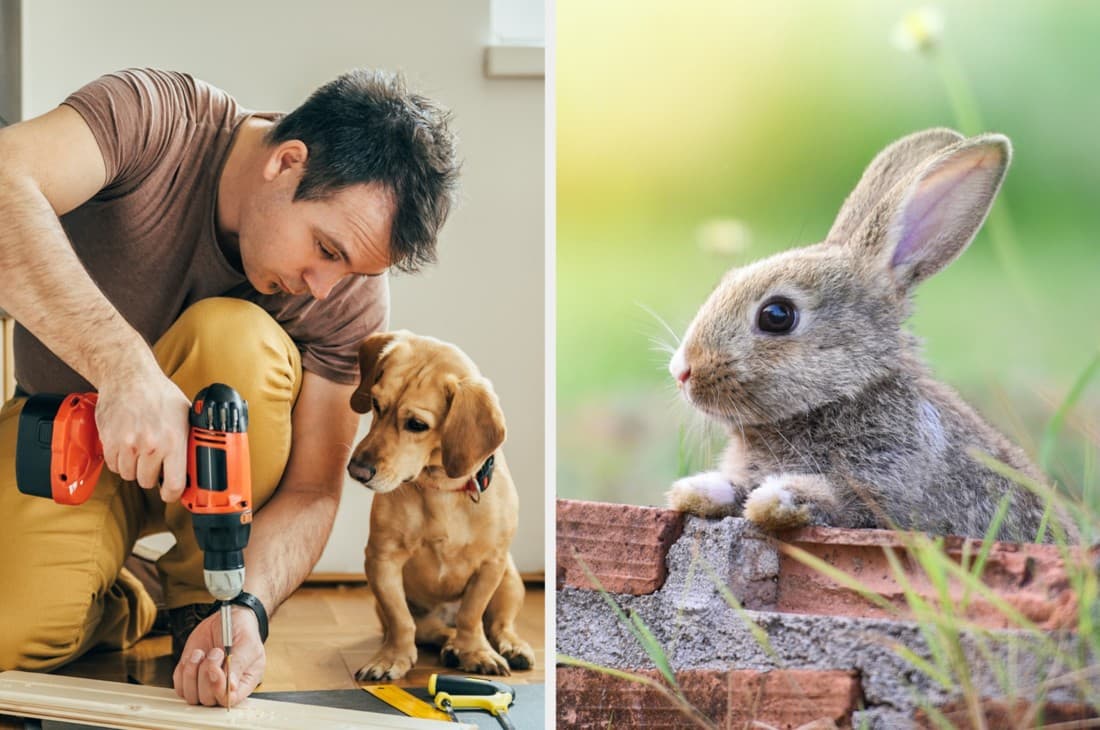 BuzzFeed · Collage ad