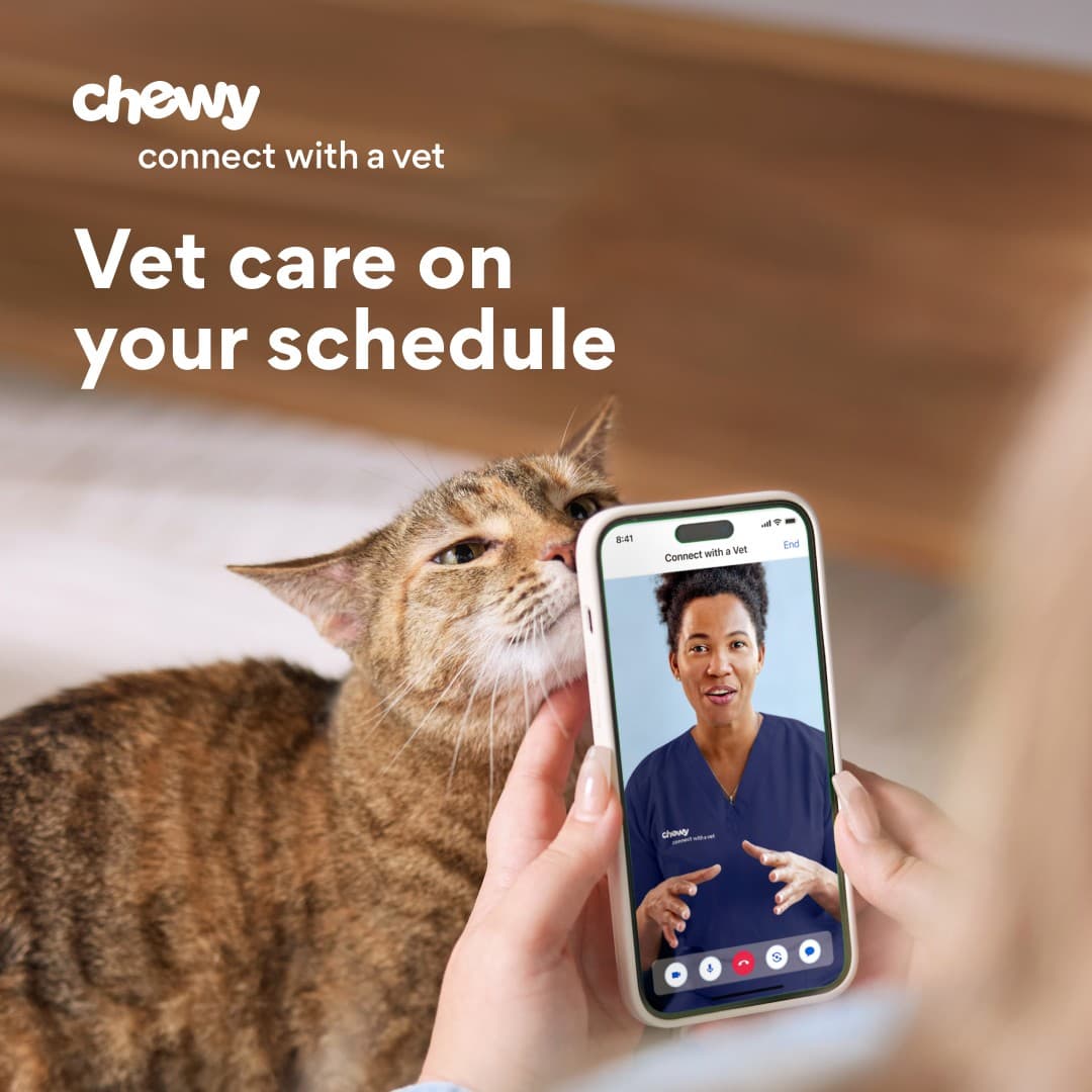 Chewy · Lifestyle Image ad