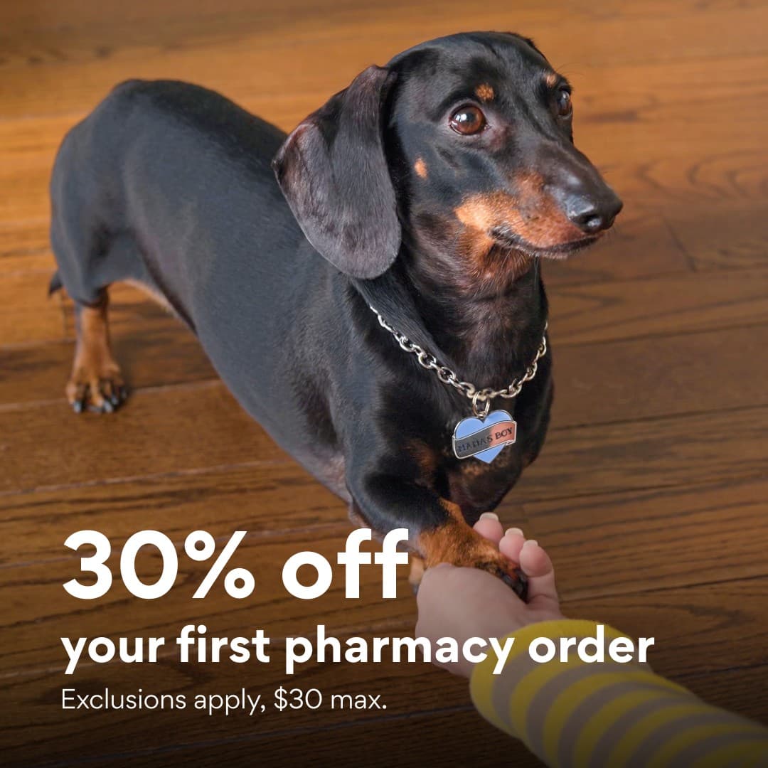 Chewy · Offer-First Banner ad
