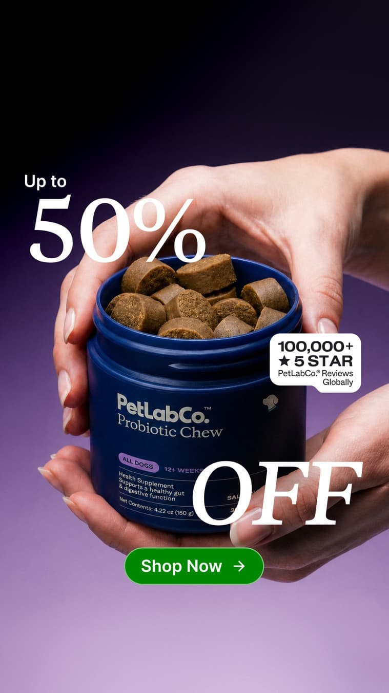 PetLab Co. · Offer-First Banner ad