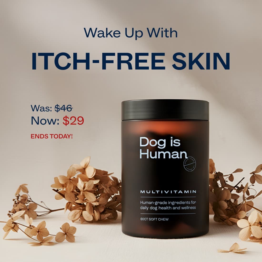 Dog is Human · Offer-First Banner ad