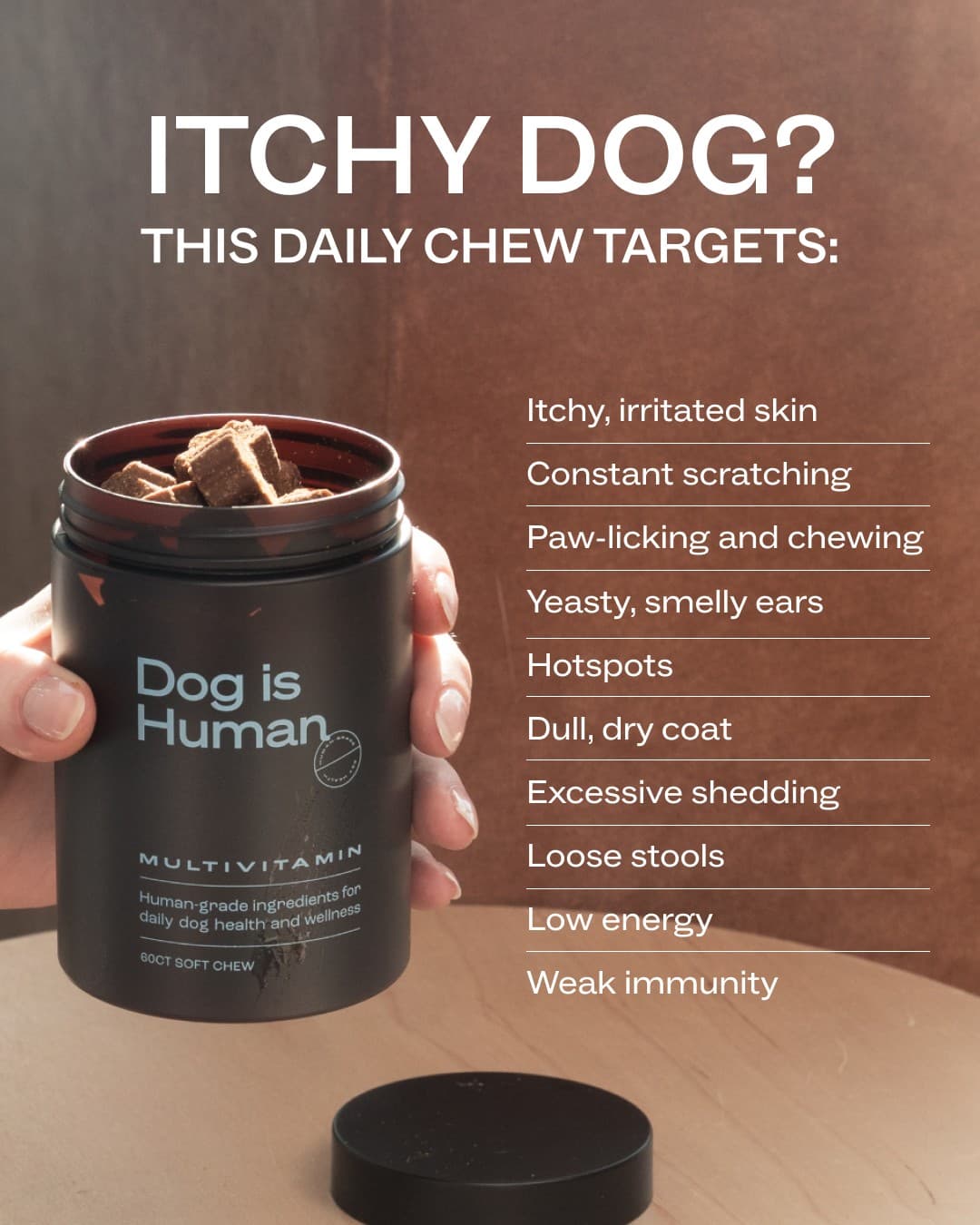 Dog is Human · Listicle ad