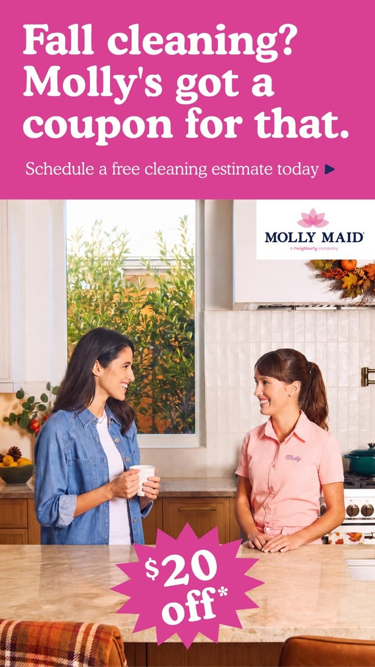 Molly Maid · Offer-First Banner ad