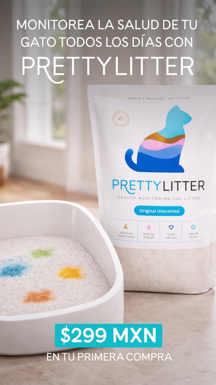 PrettyLitter · Offer-First Banner ad
