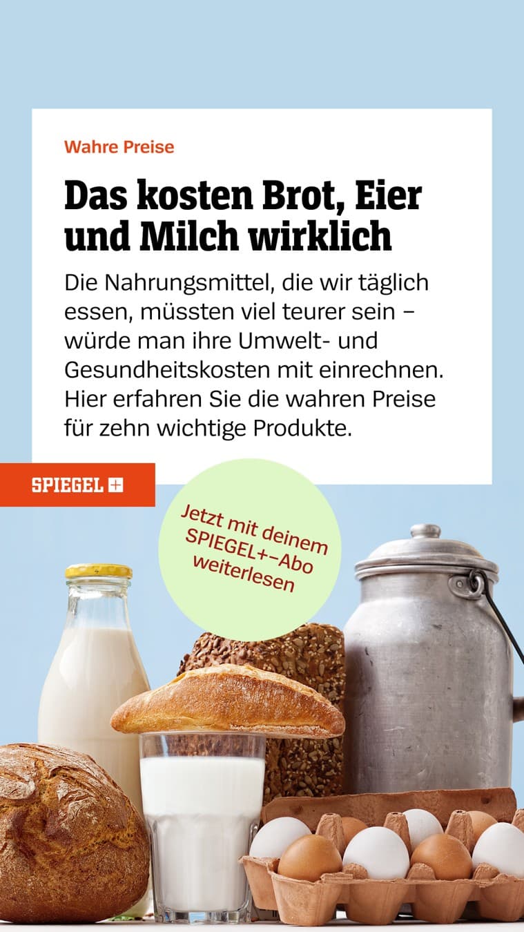 DER SPIEGEL · Editorial ad