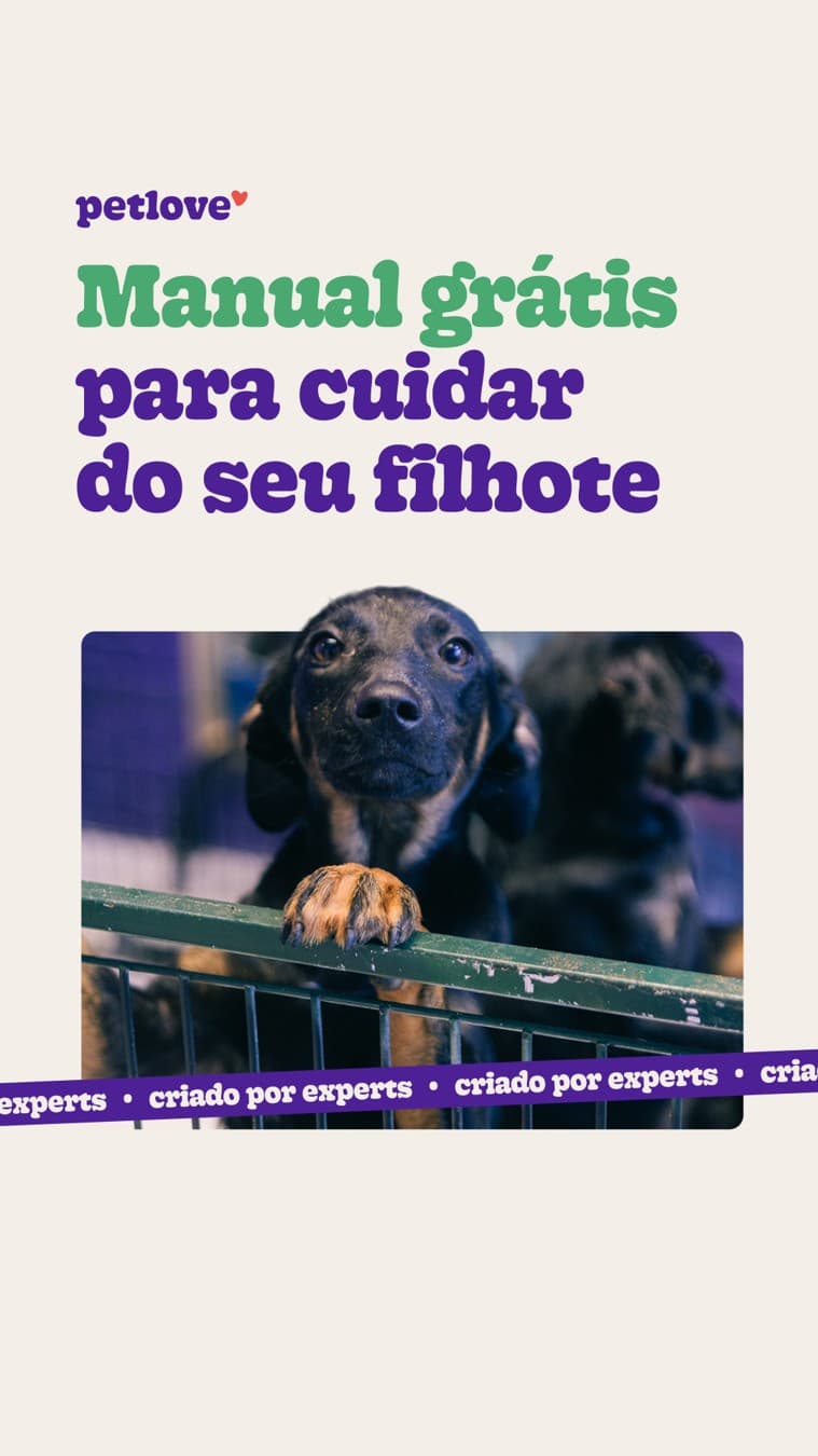 Petlove · Product Image ad