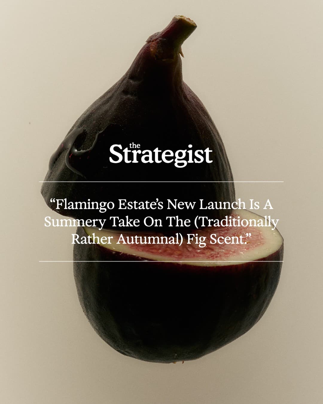 Flamingo Estate · Press ad