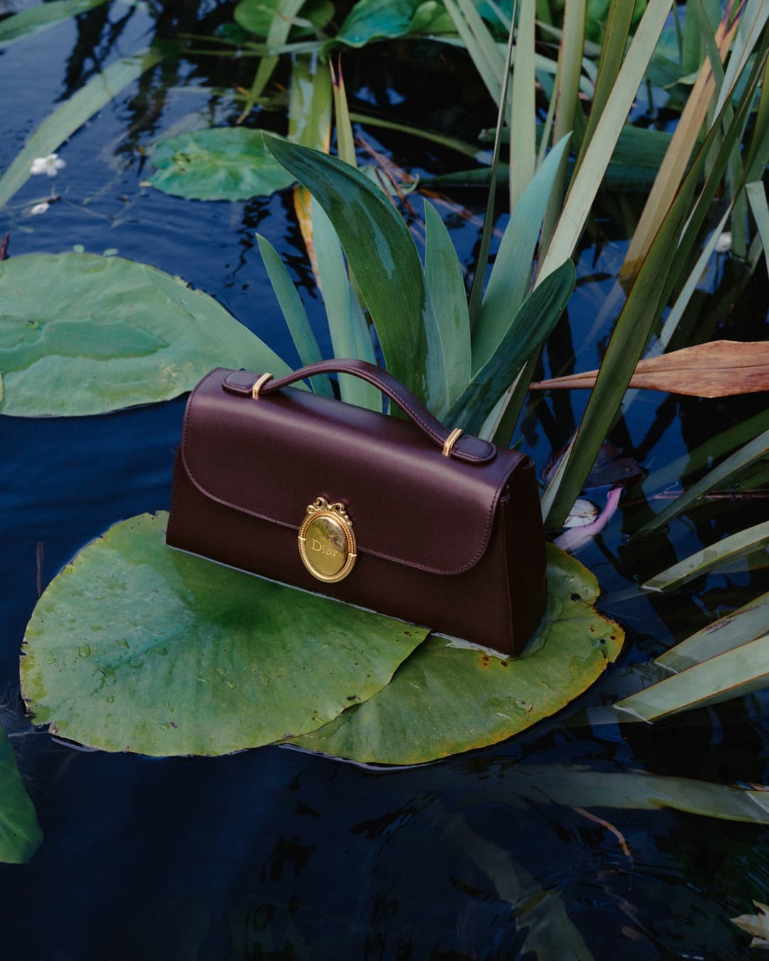 Dior · Product Image ad