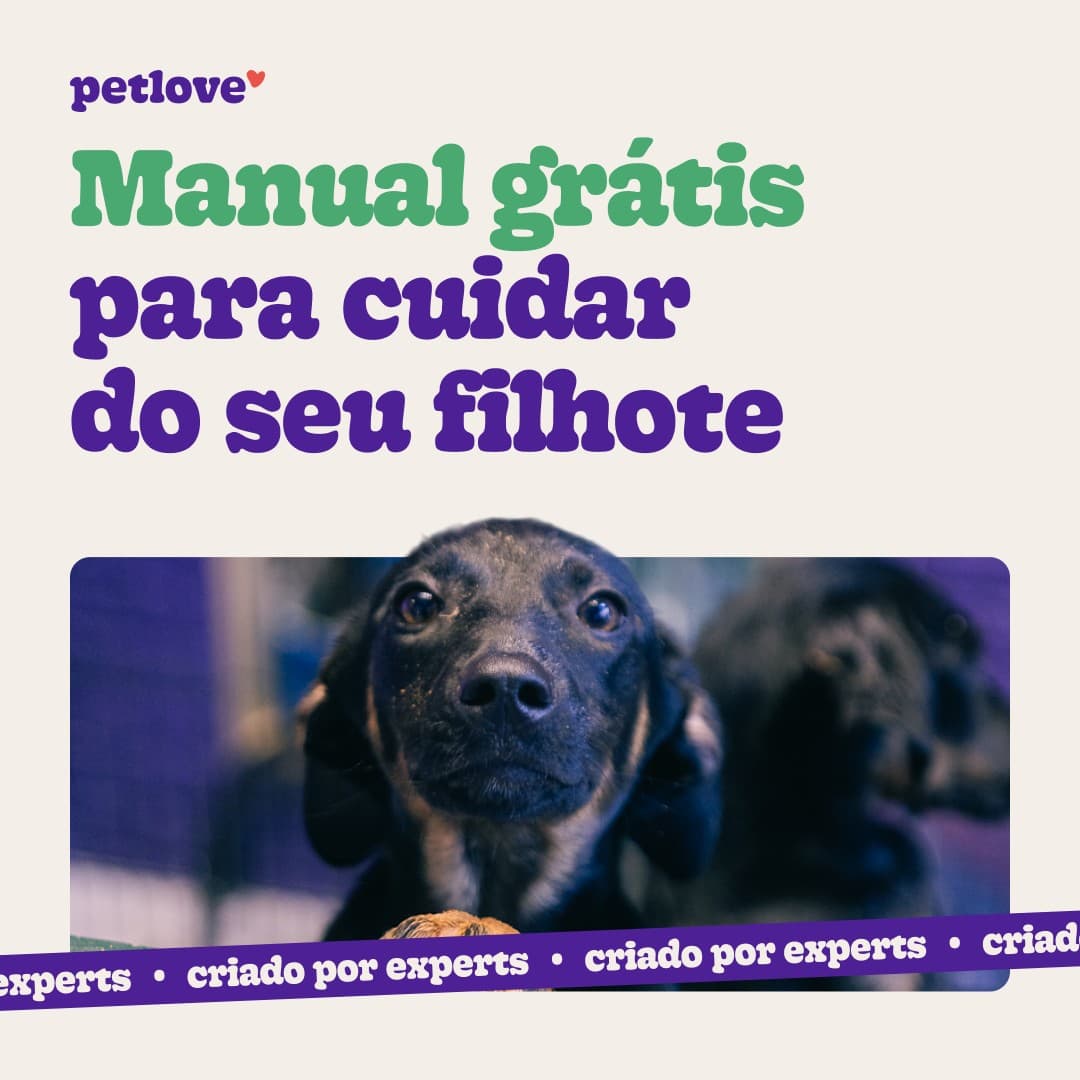 Petlove · Product Image ad