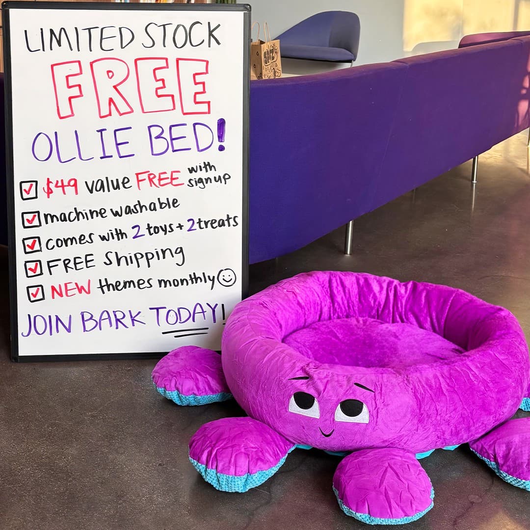 BarkBox · Sign ad