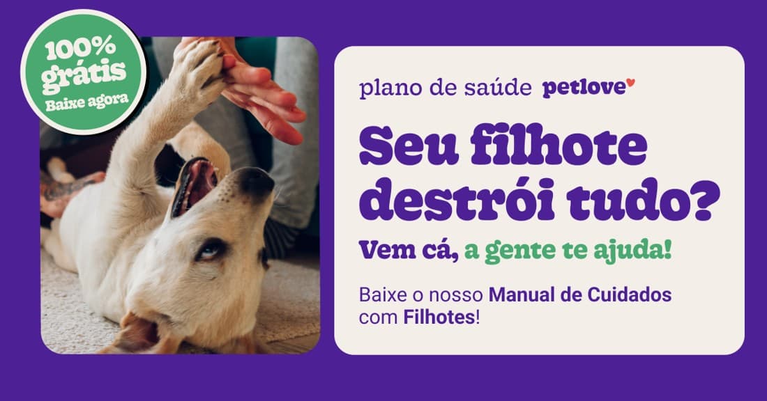 Petlove · Product Image ad
