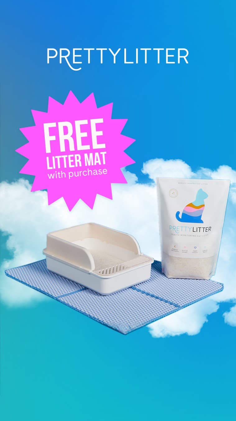 PrettyLitter · Offer-First Banner ad