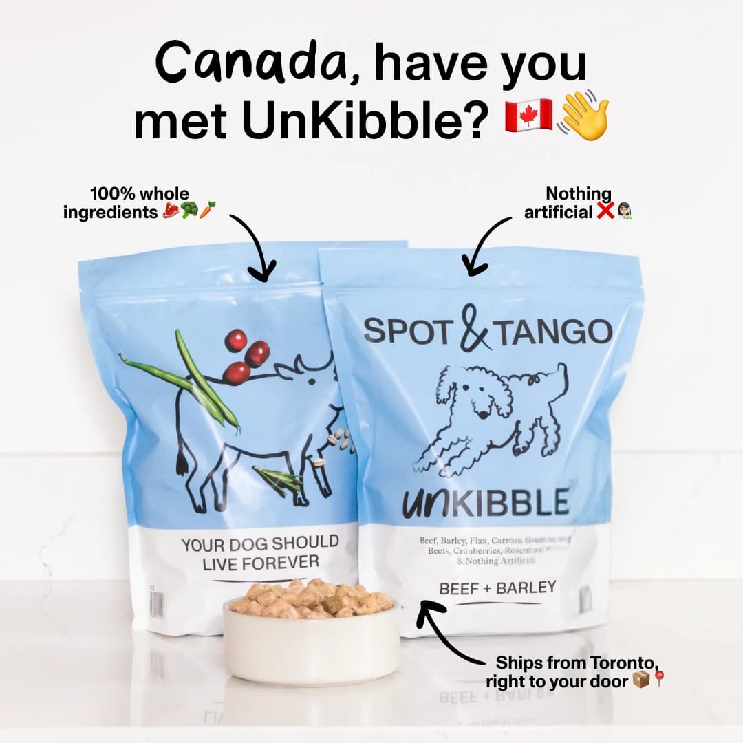 Spot and Tango · Feature Benefit Pointout ad