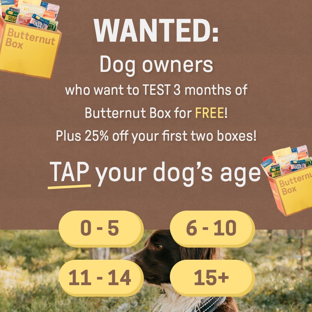 Butternut Box · Offer-First Banner ad