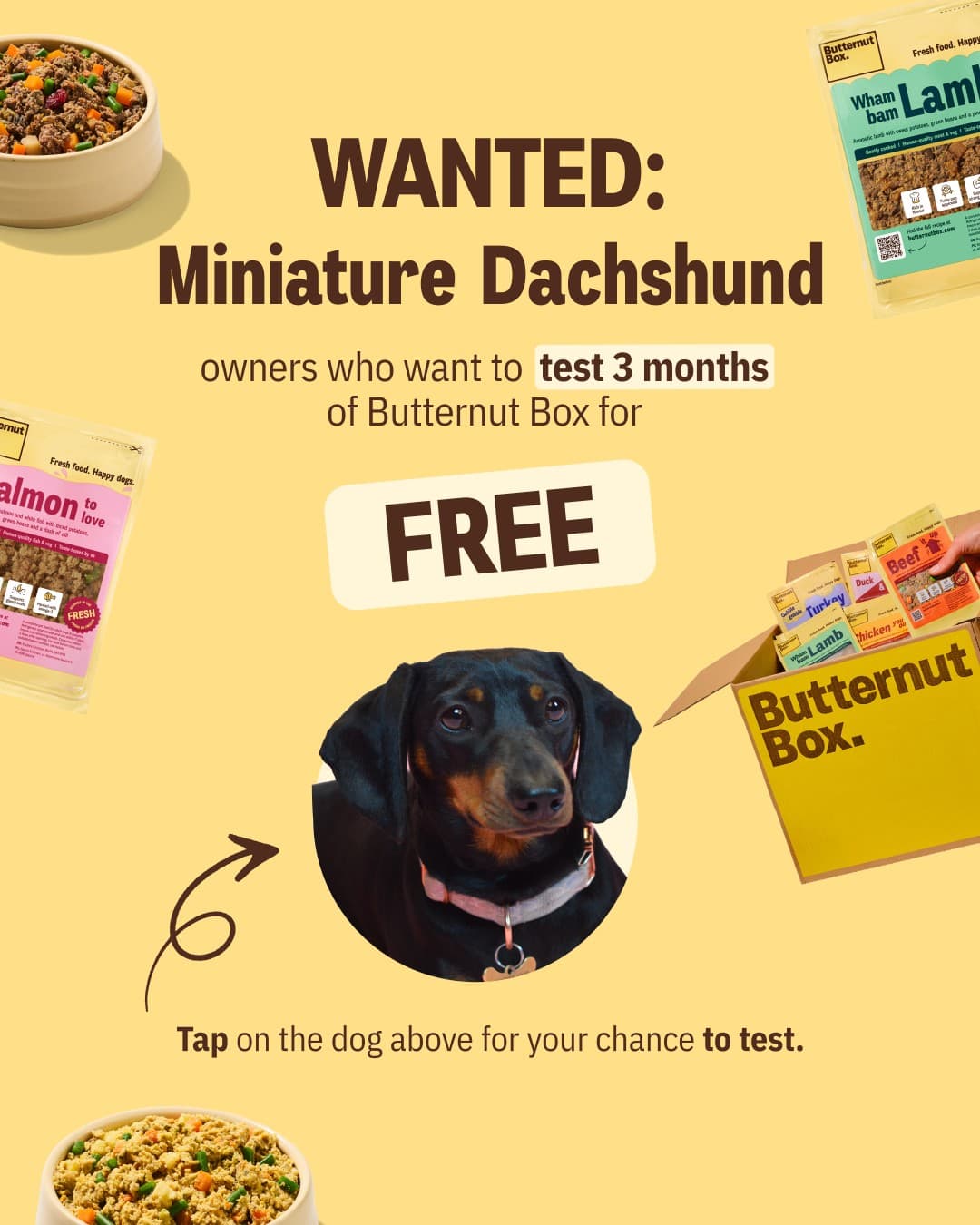 Butternut Box · Offer-First Banner ad