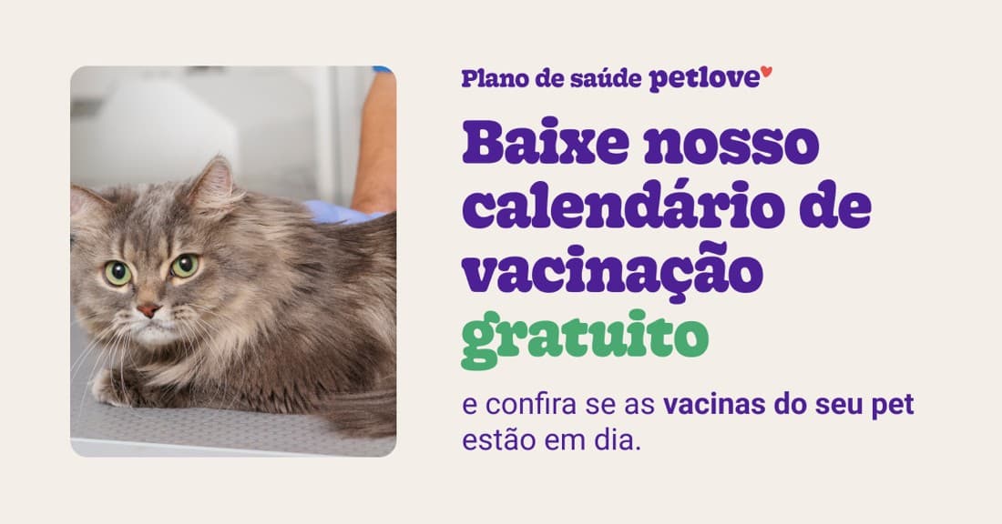 Petlove · Product Image ad