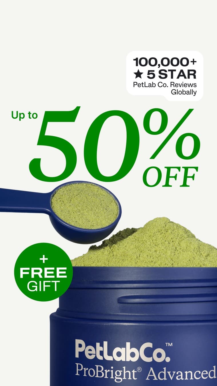PetLab Co. · Offer-First Banner ad