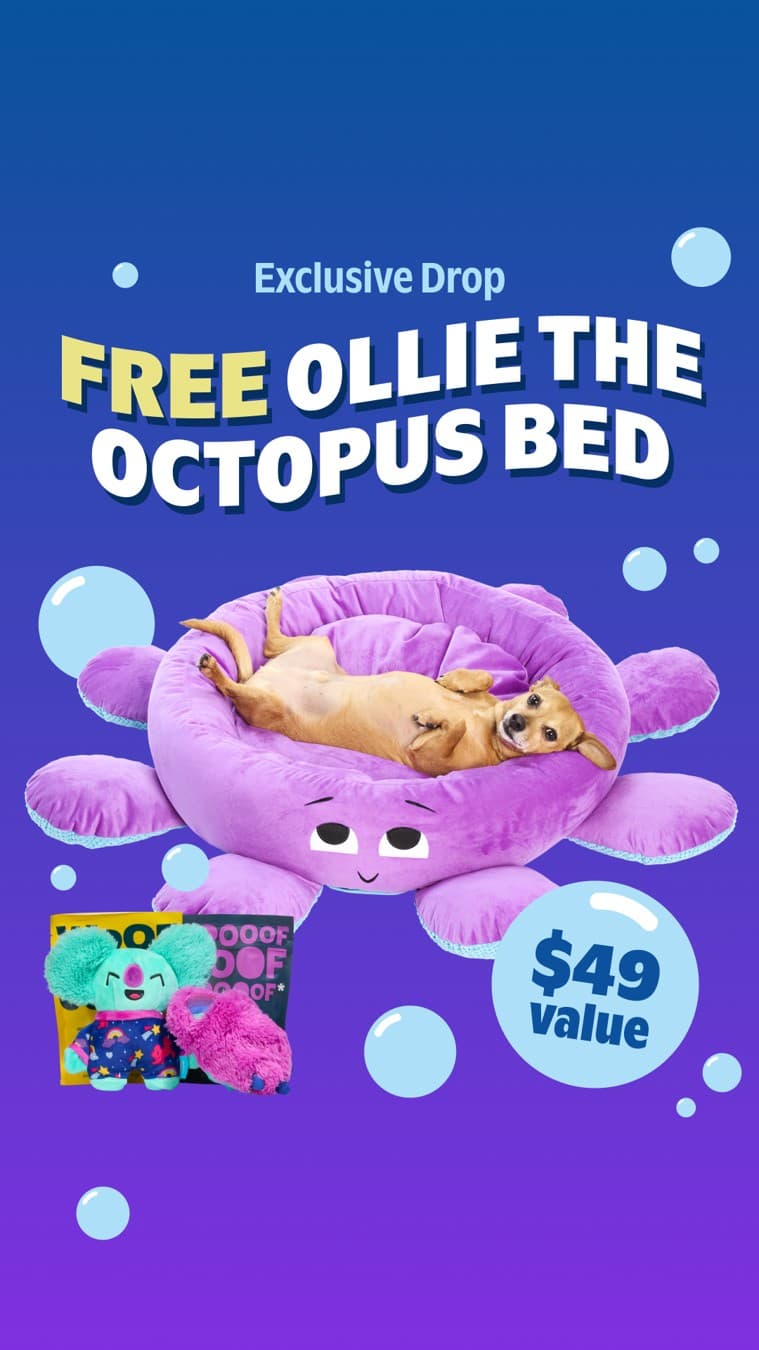 BarkBox · Offer-First Banner ad