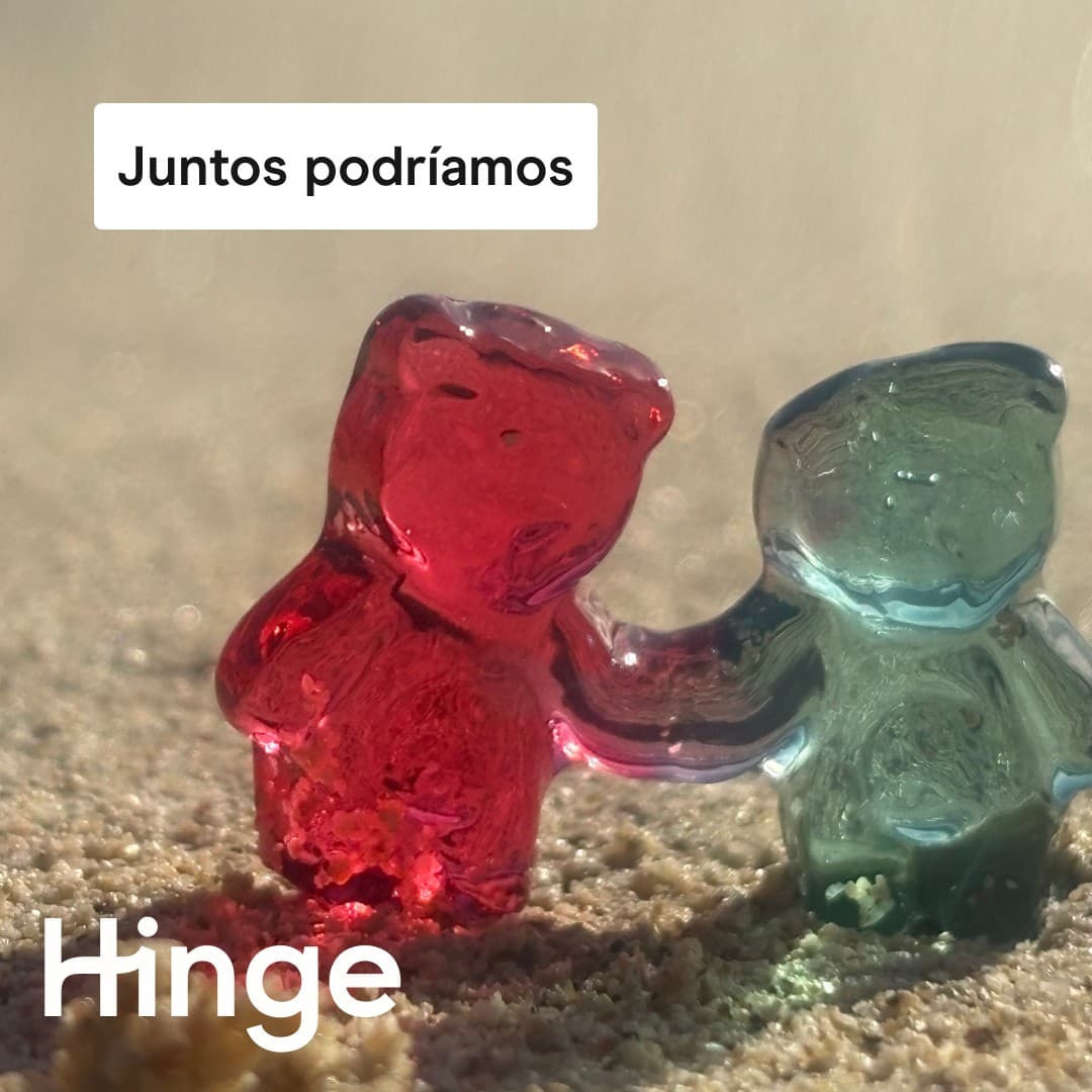 Hinge · Product Image ad